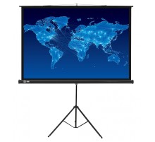 Экран Cactus 150x150см Triscreen CS-PST-150x150 1:1 напольный рулонный черный