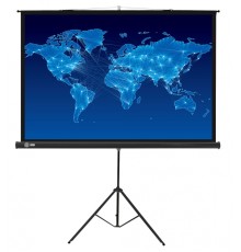 Экран Cactus 150x150см Triscreen CS-PST-150x150 1:1 напольный рулонный черный