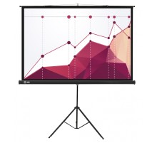 Экран Cactus 180x180см Triscreen CS-PST-180x180 1:1 напольный рулонный белый