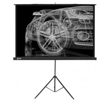 Экран Cactus 124.5x221см Triscreen CS-PST-124x221 16:9 напольный рулонный черный