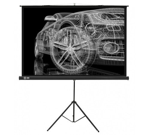 Экран Cactus 124.5x221см Triscreen CS-PST-124x221 16:9 напольный рулонный черный