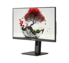 Монитор LCD 23.8'' 16:9 1920х1080(FHD) IPS, nonGLARE, 100 Hz, 250 cd/m2, H178°/V178°, 1000:1, 16.7M, 5ms, VGA, HDMI, DP, Height adj, Pivot, Tilt, Speakers, 1Y, Black, реестр
