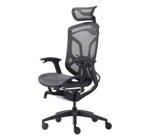 Премиум эргономичное кресло GT Chair Dvary X, чёрный