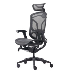 Премиум эргономичное кресло GT Chair Dvary X, чёрный