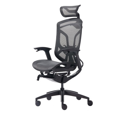 Премиум эргономичное кресло GT Chair Dvary X, чёрный