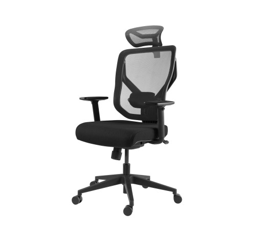 Премиум эргономичное кресло GT Chair VIDA Z, черный