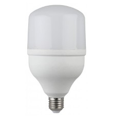 ЭРА Б0027011 Светодиодная лампа LED smd POWER 20W-6500-E27