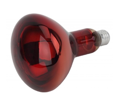 Эра Б0042981 Инфракрасная лампа красного света ЭРА ИКЗК 230-150 R127