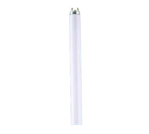 Лампа люминесцентная Osram L36W/640 G13 (упаковка 25 шт)