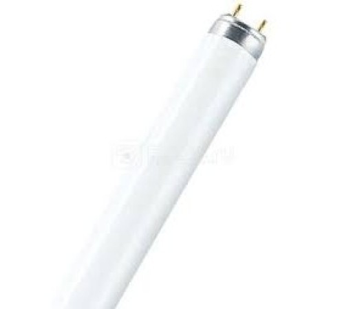 Лампа люминесцентная Osram L36W/765 G13 (упаковка 25 шт)