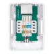 Розетка компьют. rj-45(8p8c), кат  6, экранированная, одинарная, внешняя Cabeus WS-8P8C-Cat.6-SH-1 Розетка компьютерная RJ-45(8P8C), категория 6, экранированная, одинарная, внешняя, Dual IDC (WS-8P8C-Cat.6-SH-1)