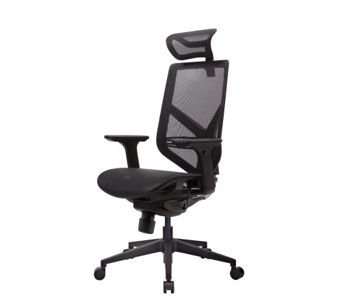Премиум эргономичное кресло GT Chair Tender Form M, черный