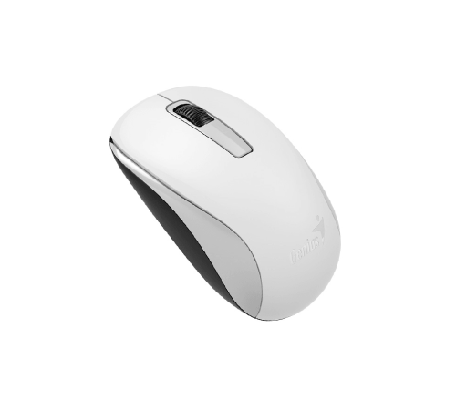 Мышь беспроводная NX-7005 белая (white, G5 Hanger), 2.4GHz wireless, BlueEye 1200 dpi, 1xAA New Package