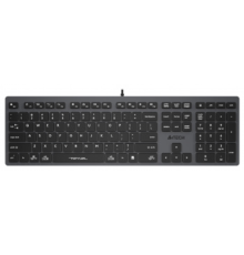 Клавиатура A4Tech Fstyler FX50 серый USB slim Multimedia (FX50 GREY) [FX50 GREY]