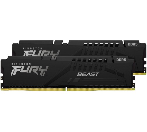 Память оперативная Kingston FURY Beast Black EXPO (KF560C36BBEK2-64)