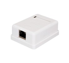 Bion Внешняя сетевая розетка BXP-ENS-C5E-1P-1 RJ-45 cat. 5e, 1 порт, 110&Krone