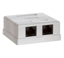 Bion Внешняя сетевая розетка BXP-ENS-C5E-2P-1 RJ-45 cat. 5e, 2 порта, 110&Krone