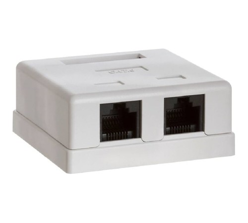 Bion Внешняя сетевая розетка BXP-ENS-C5E-2P-1 RJ-45 cat. 5e, 2 порта, 110&Krone