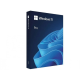 Комплект программного обеспечения Win Pro FPP 11 P2 32-bit/64-bit Eng Intl non-EU/EFTA USB (HAV-00164)