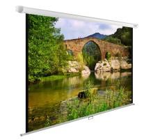Экран Cactus 165x220см WallExpert CS-PSWE-220x165-WT 4:3 настенно-потолочный рулонный белый