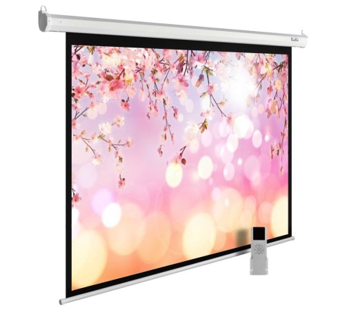 Экран Cactus 220x220см MotoExpert CS-PSME-220x220-WT 1:1 настенно-потолочный рулонный белый (моторизованный привод)
