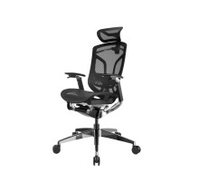 Премиум эргономичное кресло GT Chair Dvary Pro X, чёрный