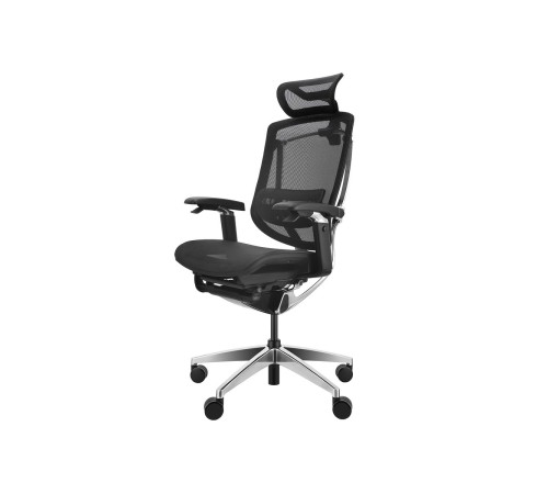 Премиум эргономичное кресло GT Chair Marrit Pro X, черный