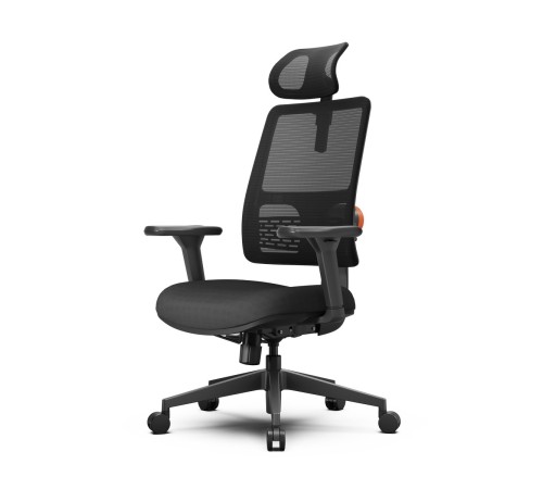 Эргономичное компьютерное кресло FoxGear NETZ модель E, черный