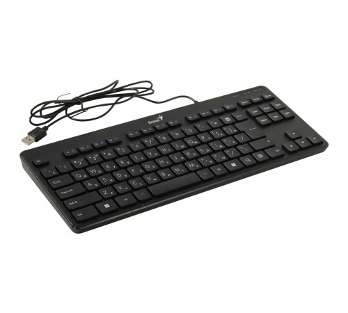 Клавиатура проводная Genius LuxeMate 110 black USB (31300012404) Клавиатура проводная Genius LuxeMate 110 black USB (31300012404)