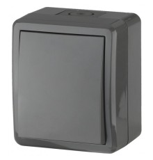 Эра Б0020674 11-1403-03 Переключатель IP54, 10АХ-250В, ОУ, Эра Эксперт, серый