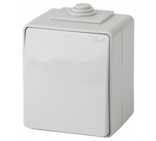 Эра Б0035975 11-1603-03 Переключатель IP65, 10АХ-250В, ОУ, Эра Эксперт, серый