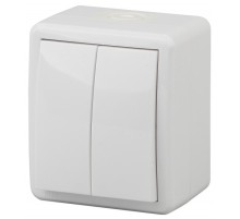 Эра Б0020676 11-1404-03 Выключатель двойной IP54, 10АХ-250В, ОУ, Эра Эксперт, серый