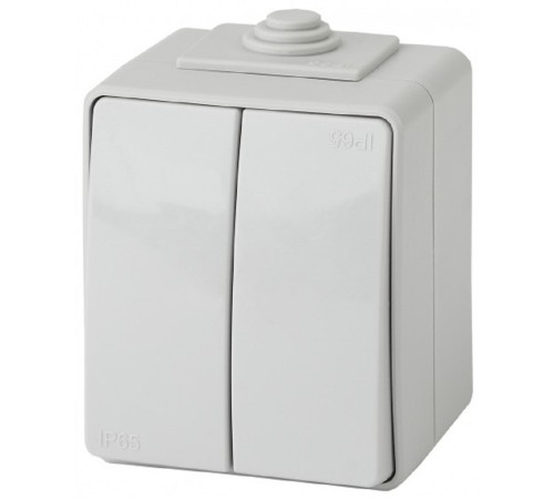 Эра Б0035976 11-1604-03 Выключатель двойной IP65, 10АХ-250В, ОУ, Эра Эксперт, серый Эра Б0035976 11-1604-03 Выключатель двойной IP65, 10АХ-250В, ОУ, Эра Эксперт, серый