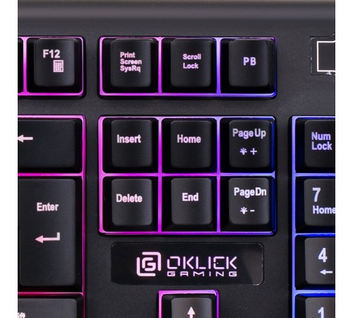 Клавиатура Оклик 717G BLACK DEATH черный/серый USB Multimedia for gamer LED Клавиатура Оклик 717G BLACK DEATH черный/серый USB Multimedia for gamer LED