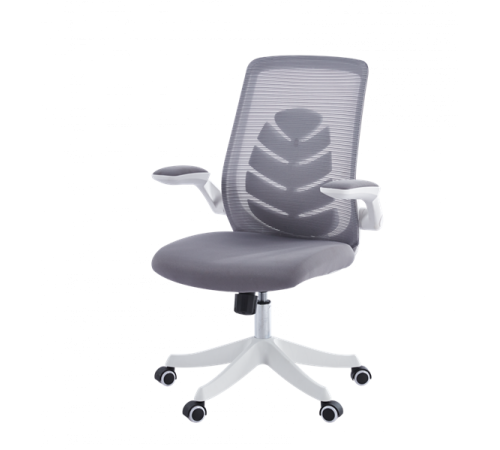Офисное кресло Chairman CH565 белый пластик, серый (7146049)