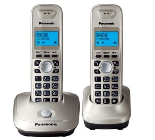 Р/Телефон Dect Panasonic KX-TG2512RUN платиновый (труб. в компл.:2шт) АОН Р/Телефон Dect Panasonic KX-TG2512RUN платиновый (труб. в компл.:2шт) АОН