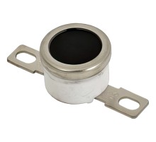 Термостат Ricoh AW110064