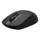 Мышь беспроводная A4Tech Fstyler FG12S black (USB, оптическая, 1200dpi, 4but, silent) (FG12S BLACK)