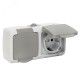EKF EFR16-129-30-54 Мурманск Розетка 2-местная 16А с заземлением с крышкой IP54 серый с защитными шторками EKF