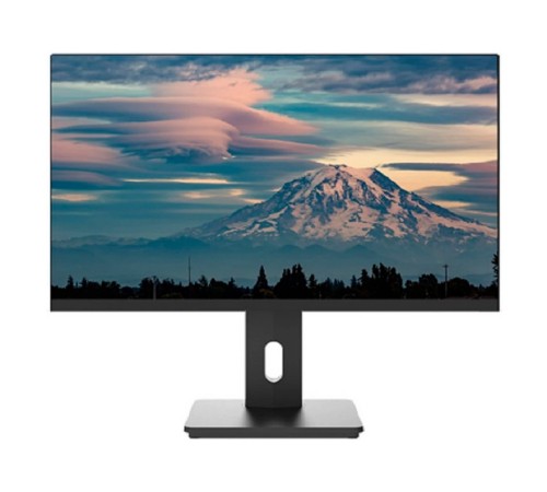 LCD Lime 23.8" F238L Black {IPS 1920x1080 100Hz 4ms 178/178 250cd 1000:1 D-Sub HDMI DisplayPort 2xUSB Pivot, Flat}