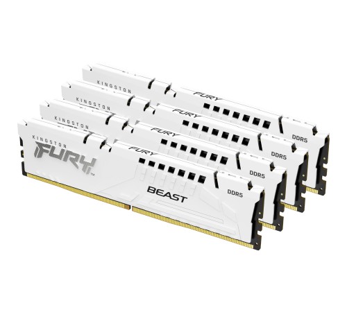 Память оперативная Kingston FURY Beast KF556C40BWK4-64