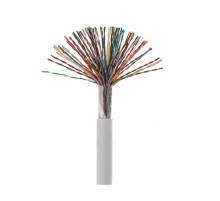 Rexant (01-1013-R) Кабель витая пара U/UTP, CAT 5е, PVC, 25PR, 24AWG, INDOOR, SOLID, серый, 305м, РФ