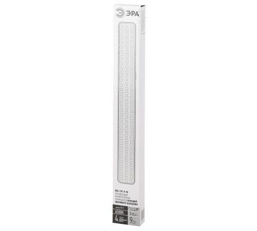 Светильник светодиодный аварийный непостоянный DBA-107-0-20 90LED 4ч IP20 (20/560) ЭРА Б0044404