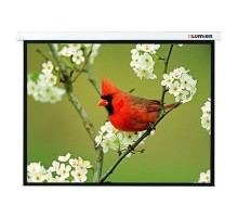 Экран Lumien 171x128см Master Picture LMP-100108 4:3 настенно-потолочный рулонный белый