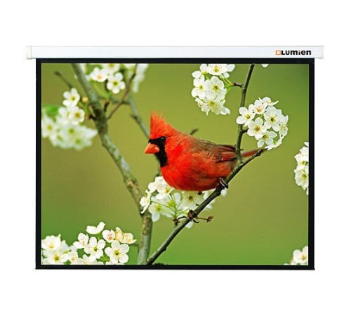 Экран Lumien 171x128см Master Picture LMP-100108 4:3 настенно-потолочный рулонный белый