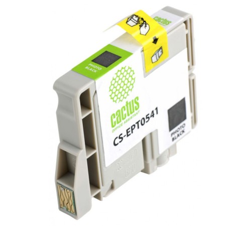 Картридж струйный Cactus CS-EPT0541 черный (16.2мл) для Epson Stylus Photo R800/R1800