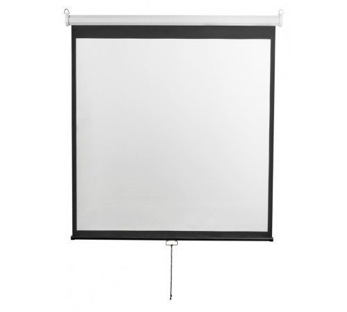 Экран 196x338см Digis Optimal-D DSOD-16908 16:9 настенно-потолочный рулонный