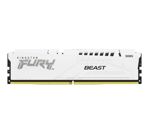 Память оперативная Kingston FURY Beast KF556C40BWK4-64
