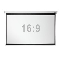 Digis Electra-Pro [DSEP-16902] Экран настенный с электроприводом (формат 16:9, 108", 246x149, рабочая поверхность 240x135, MW)
