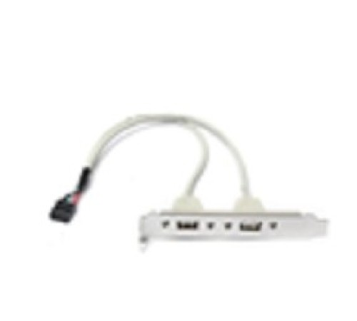 Bion планка портов 2xUSB2.0, 30 см [BXP-MB-2USB]